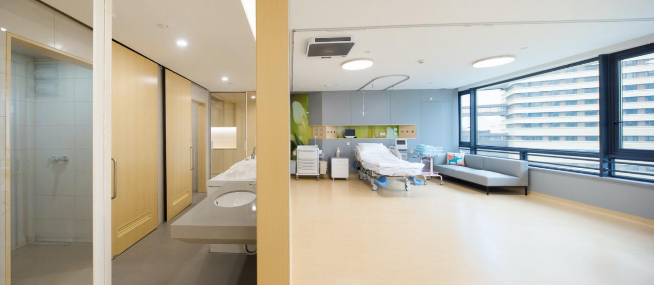 BIM建筑|厦门弘爱妇产医院 / LEMANRAC瑞士瑞盟设计