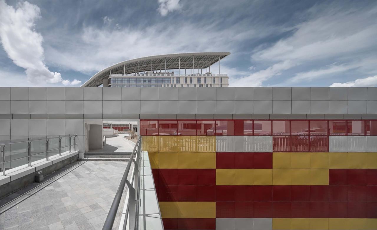 BIM建筑|西藏妇儿医院 / 八作建筑设计事务所