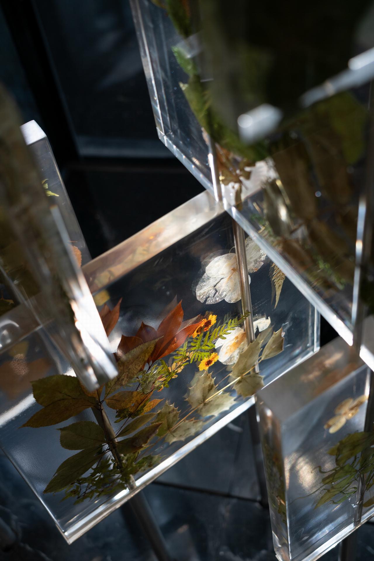 BIM建筑|衢州礼贤未来社区邻里中心 / ZSD卓时