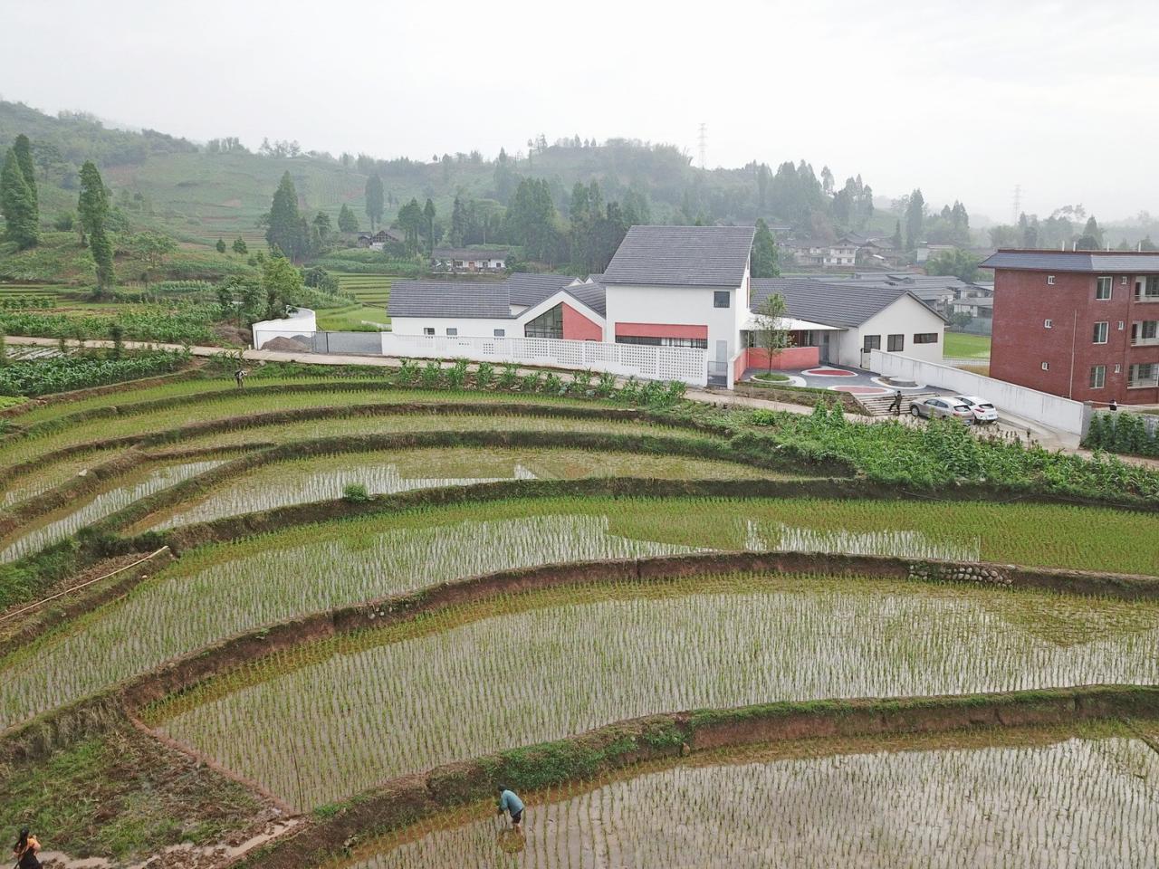 BIM建筑|大坪乡幼儿园 / 东意建筑