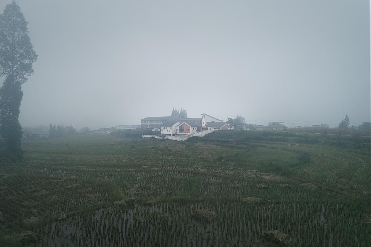 BIM建筑|大坪乡幼儿园 / 东意建筑