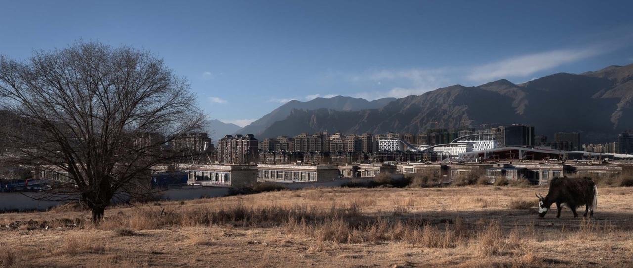 BIM建筑|西藏妇儿医院 / 八作建筑设计事务所