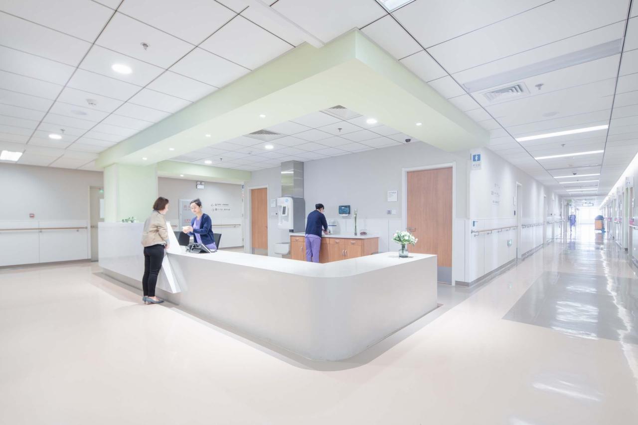 BIM建筑|合肥京东方医院 / HKS