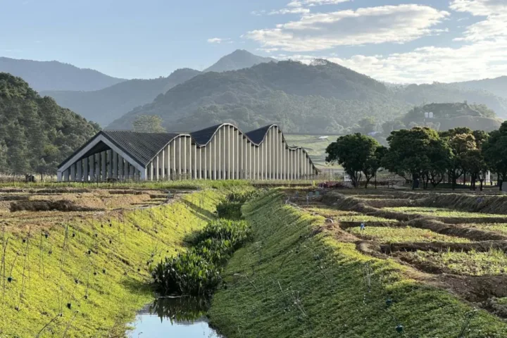 BIM建筑|陶然墟乡村集市 / 昊源集团设计中心
