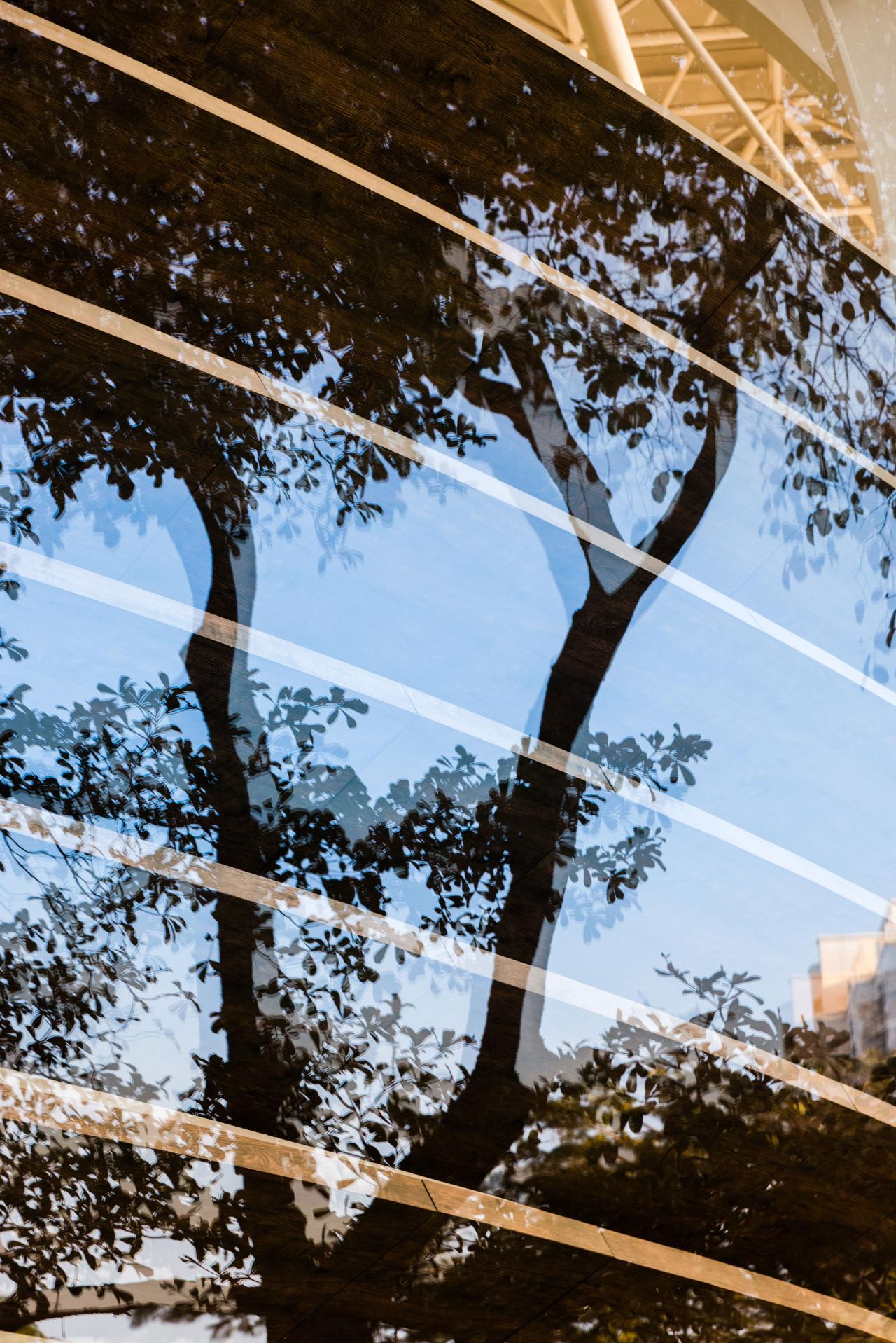 BIM建筑|巢·艺术中心 × 穆氏: 美是不可替代的竞争力 / 穆氏建筑设计（上海）有限公司