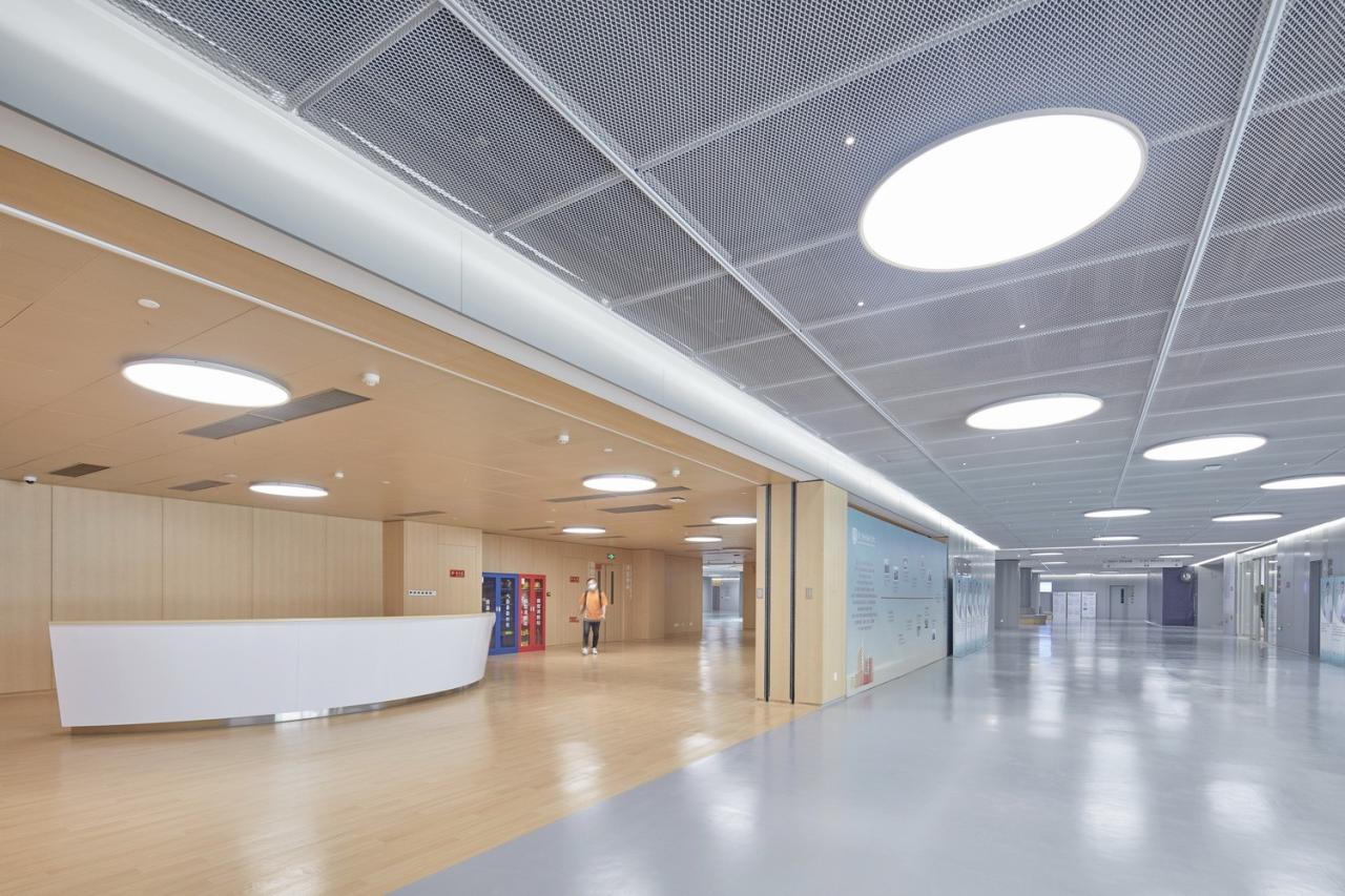 BIM建筑|厦门弘爱妇产医院 / LEMANRAC瑞士瑞盟设计