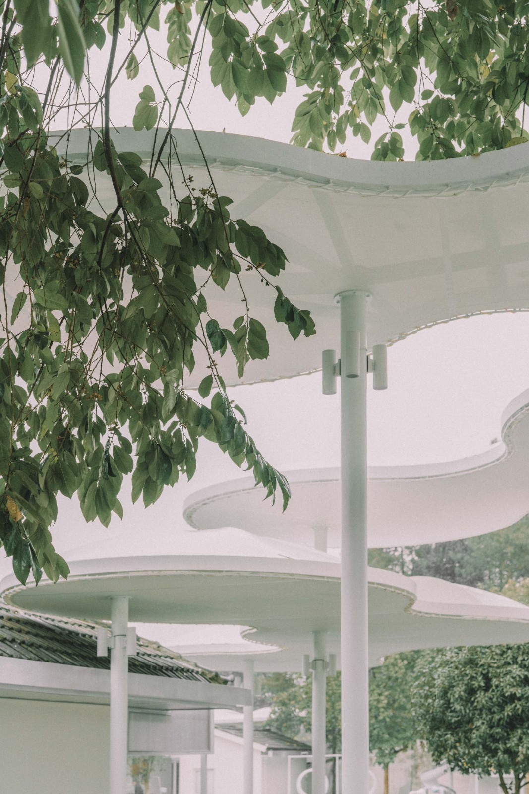 BIM建筑|大鱼云海妈妈农场 / 梦想改造家