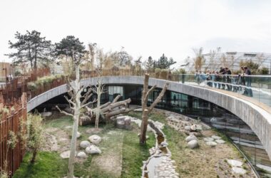 BIM建筑|哥本哈根动物园阴阳熊猫馆 / BIG-BIM建筑网