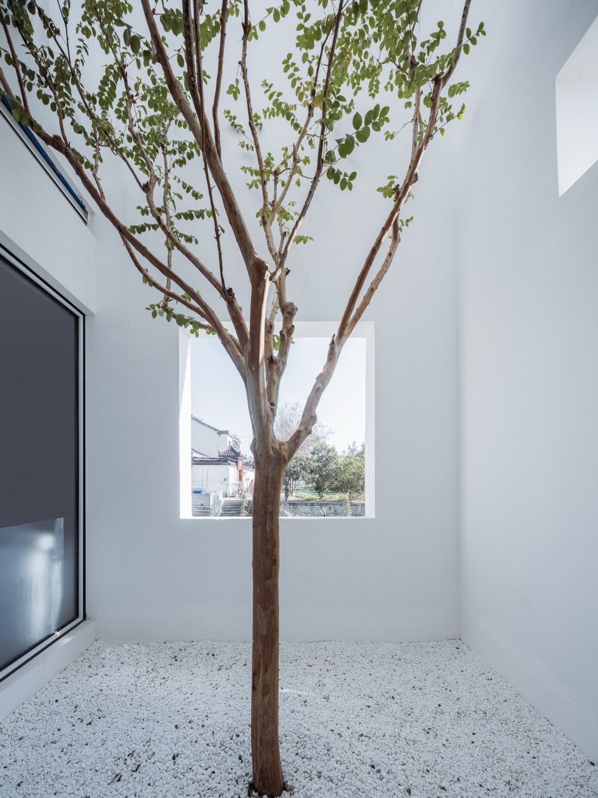 BIM建筑|剖面就是立面：白色的苏州伴宅 / Wutopia Lab