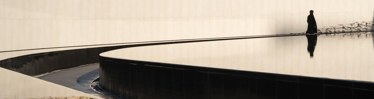 BIM建筑|武汉城建 · 花山印象：旋扭的动感 / 成执设计