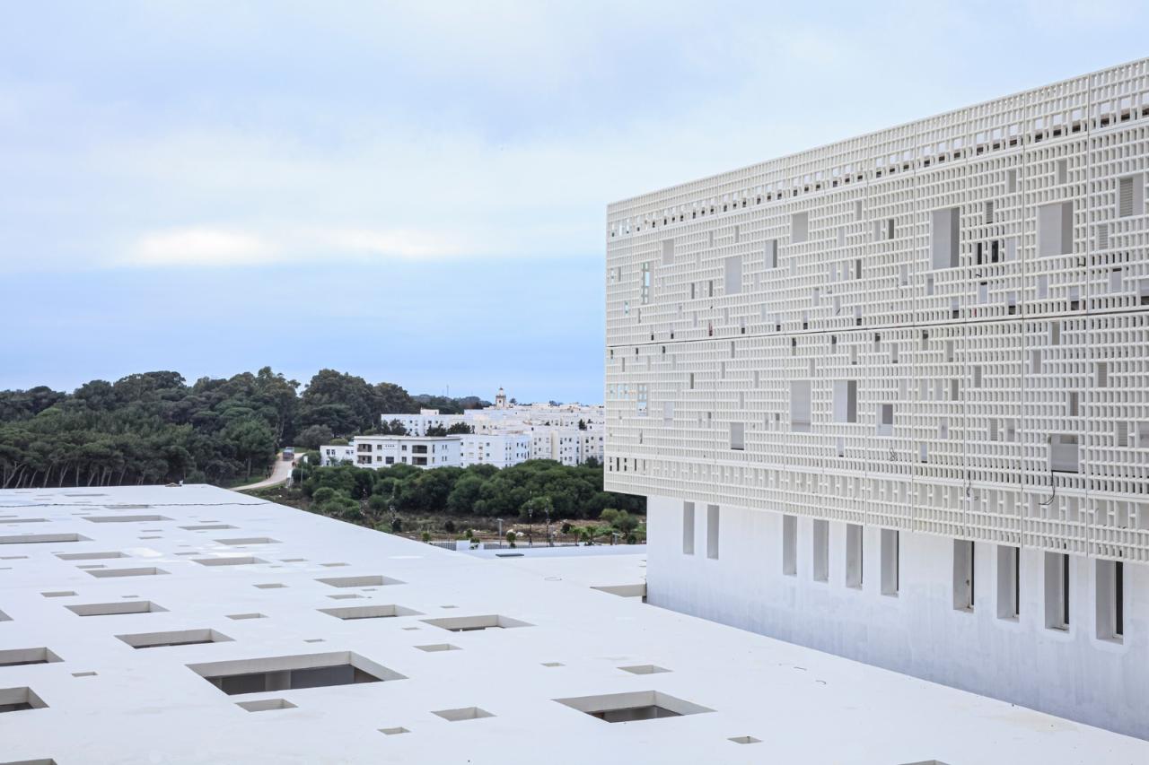 BIM建筑|丹吉尔市大学医院 / Hajji & Elouali + Architecturestudio