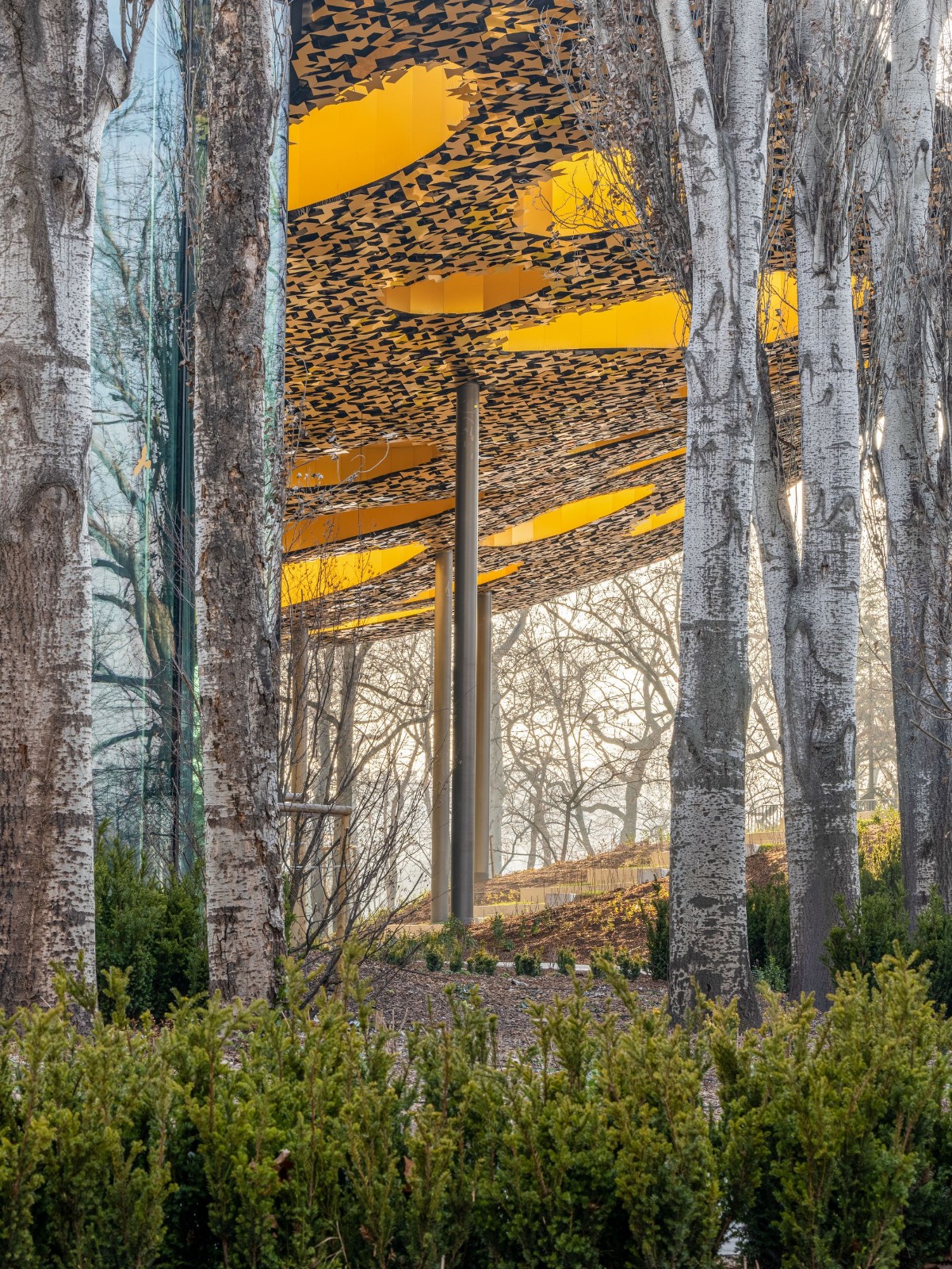 BIM建筑|匈牙利“音乐之家”正式开放 / 藤本壮介