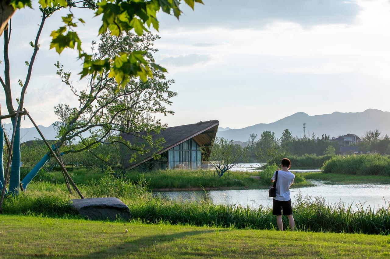 BIM建筑|富阳阳陂湖湿地生态酒店 / 尌林建筑
