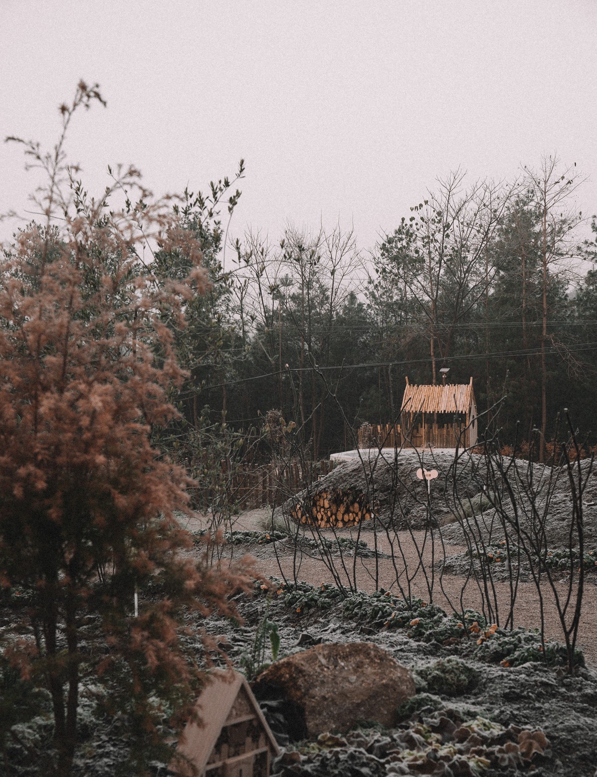 BIM建筑|大鱼云海妈妈农场 / 梦想改造家