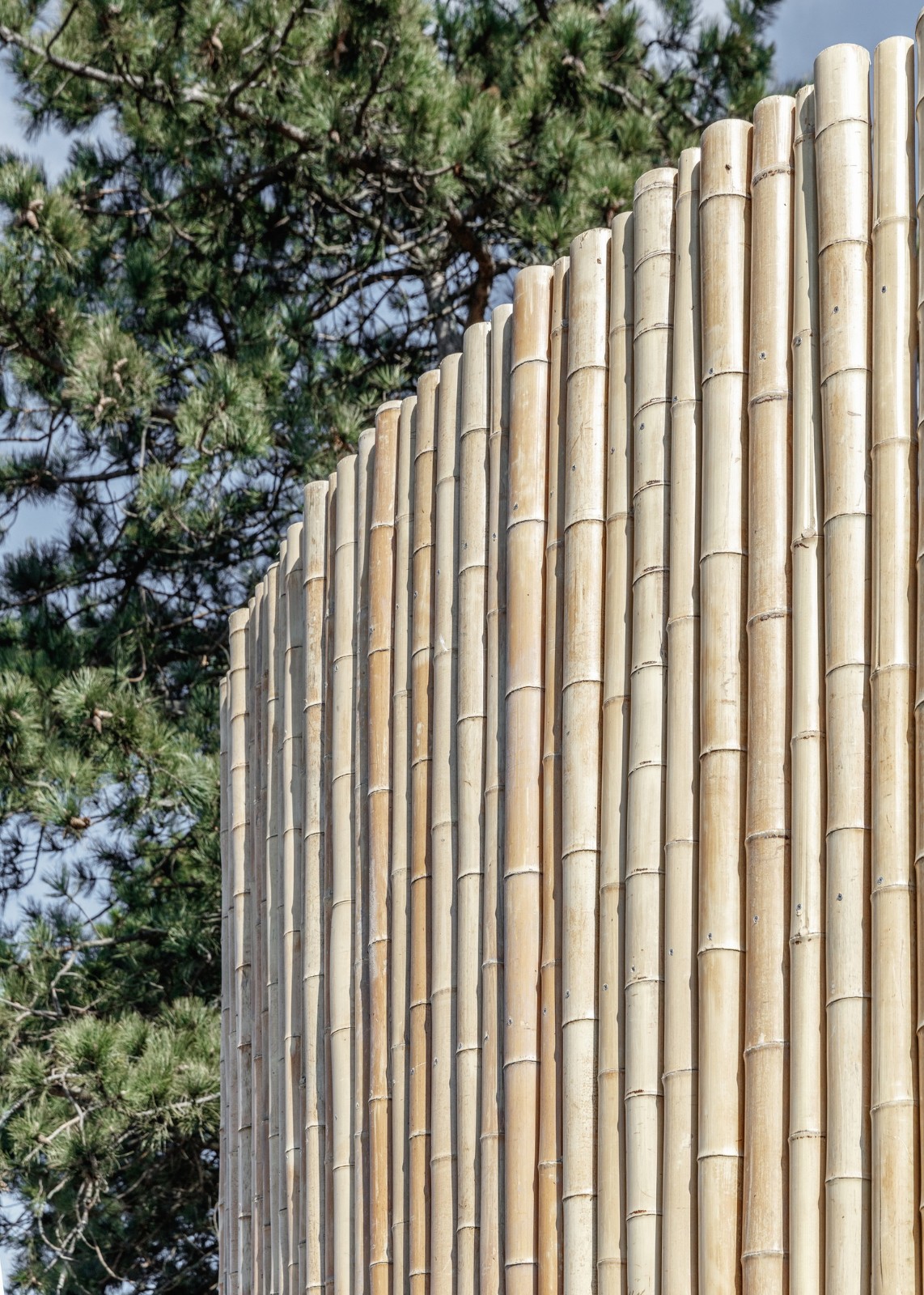 BIM建筑|哥本哈根动物园阴阳熊猫馆 / BIG