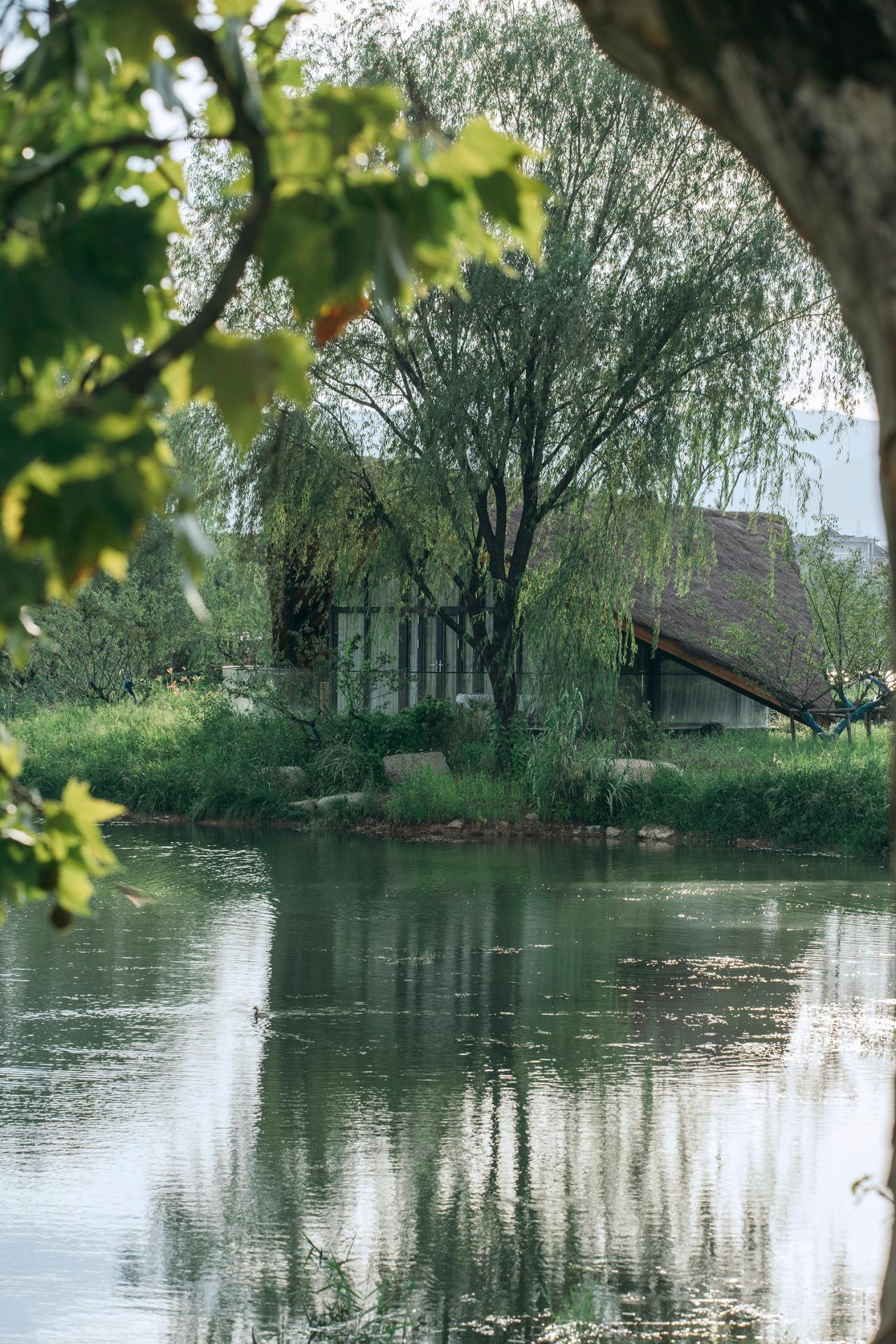 BIM建筑|富阳阳陂湖湿地生态酒店 / 尌林建筑