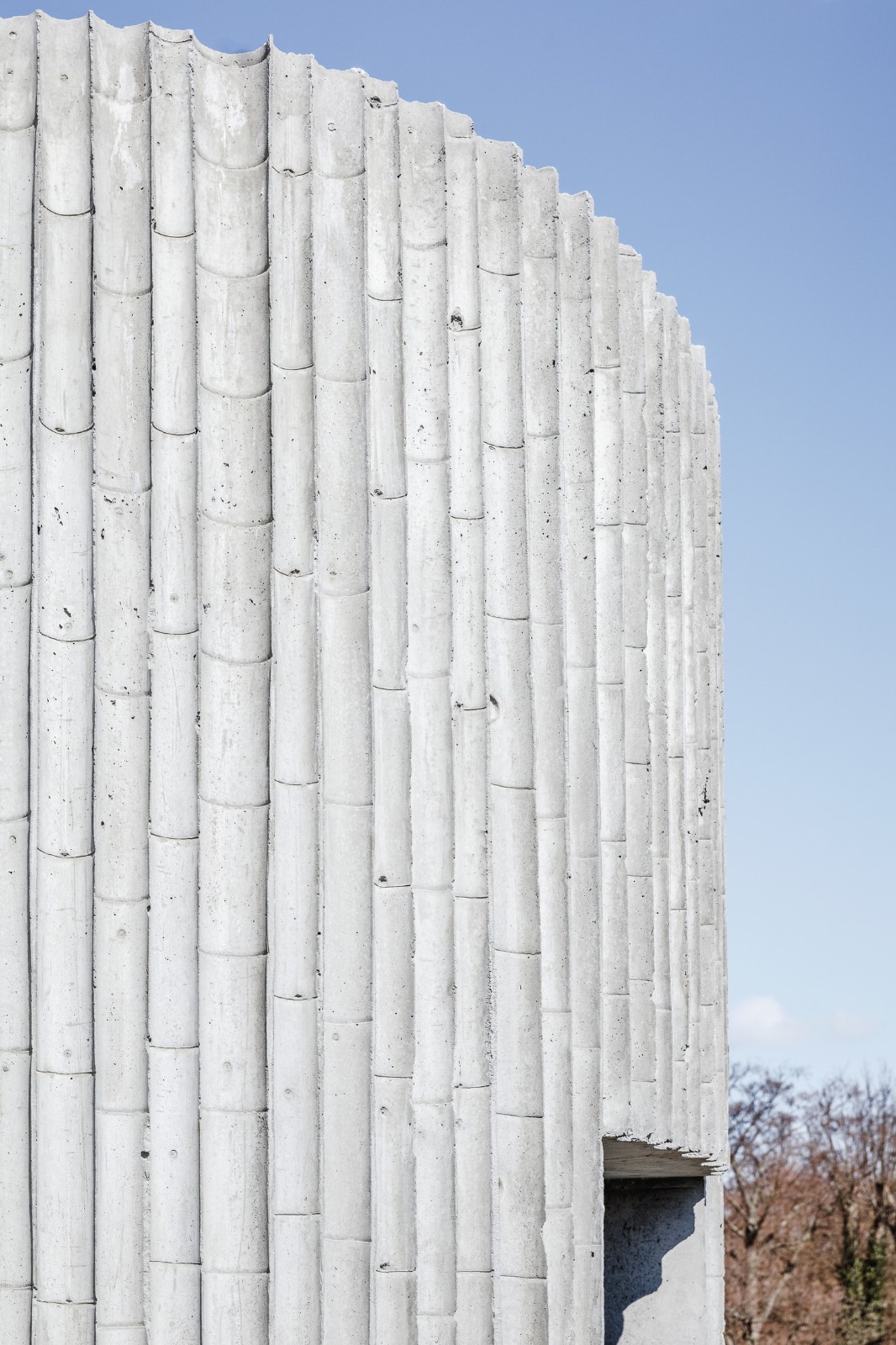 BIM建筑|哥本哈根动物园阴阳熊猫馆 / BIG