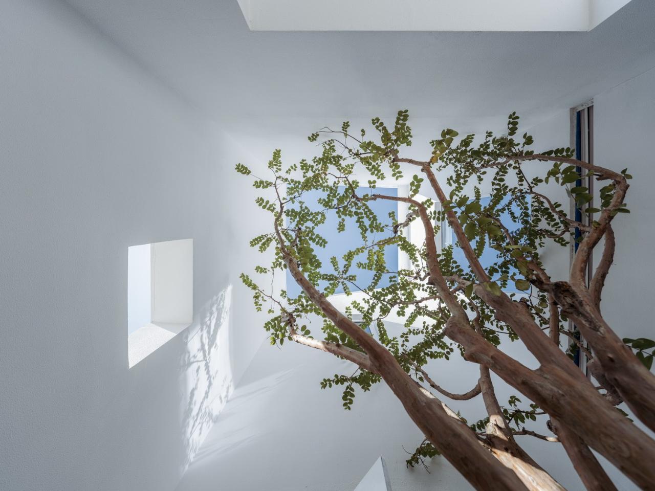 BIM建筑|剖面就是立面：白色的苏州伴宅 / Wutopia Lab