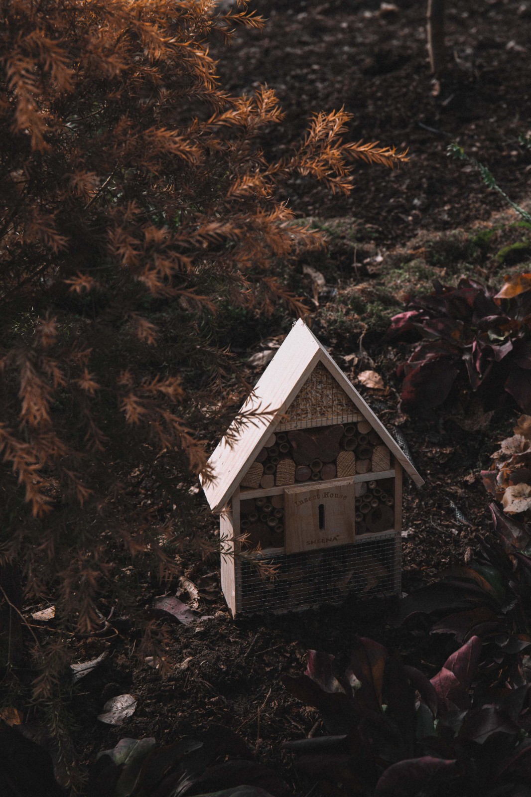 BIM建筑|大鱼云海妈妈农场 / 梦想改造家