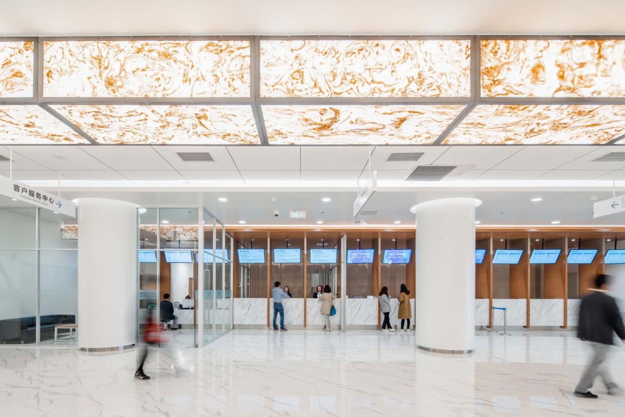 BIM建筑|合肥京东方医院 / HKS