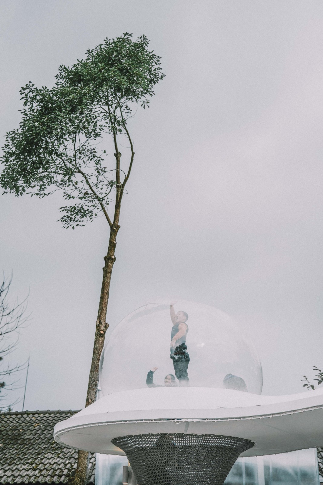 BIM建筑|大鱼云海妈妈农场 / 梦想改造家