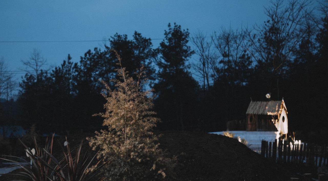 BIM建筑|大鱼云海妈妈农场 / 梦想改造家