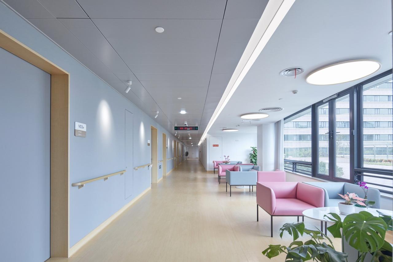 BIM建筑|厦门弘爱妇产医院 / LEMANRAC瑞士瑞盟设计