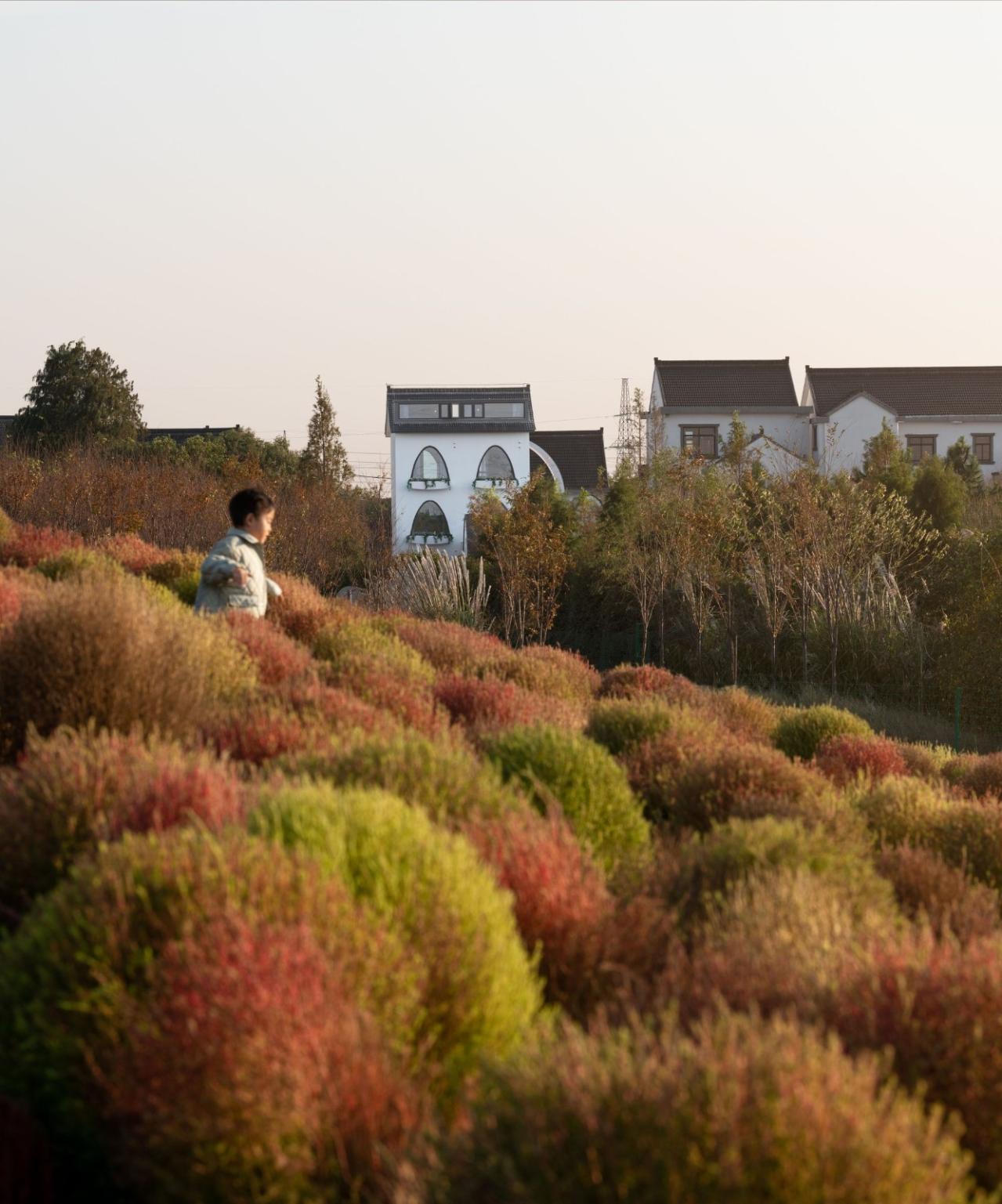 BIM建筑|待泾村花海民宿改造 / 凡度设计事务所