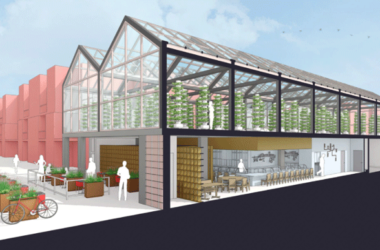 Sketchup pro2022草图大师软件Sketchup2022中文版，SU安装教程，32位/64位-BIM建筑网