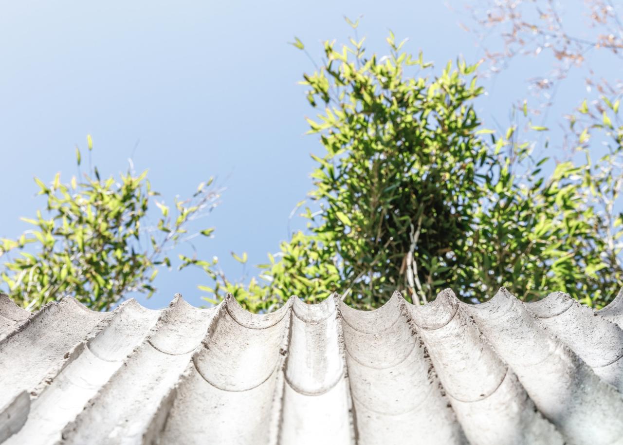 BIM建筑|哥本哈根动物园阴阳熊猫馆 / BIG