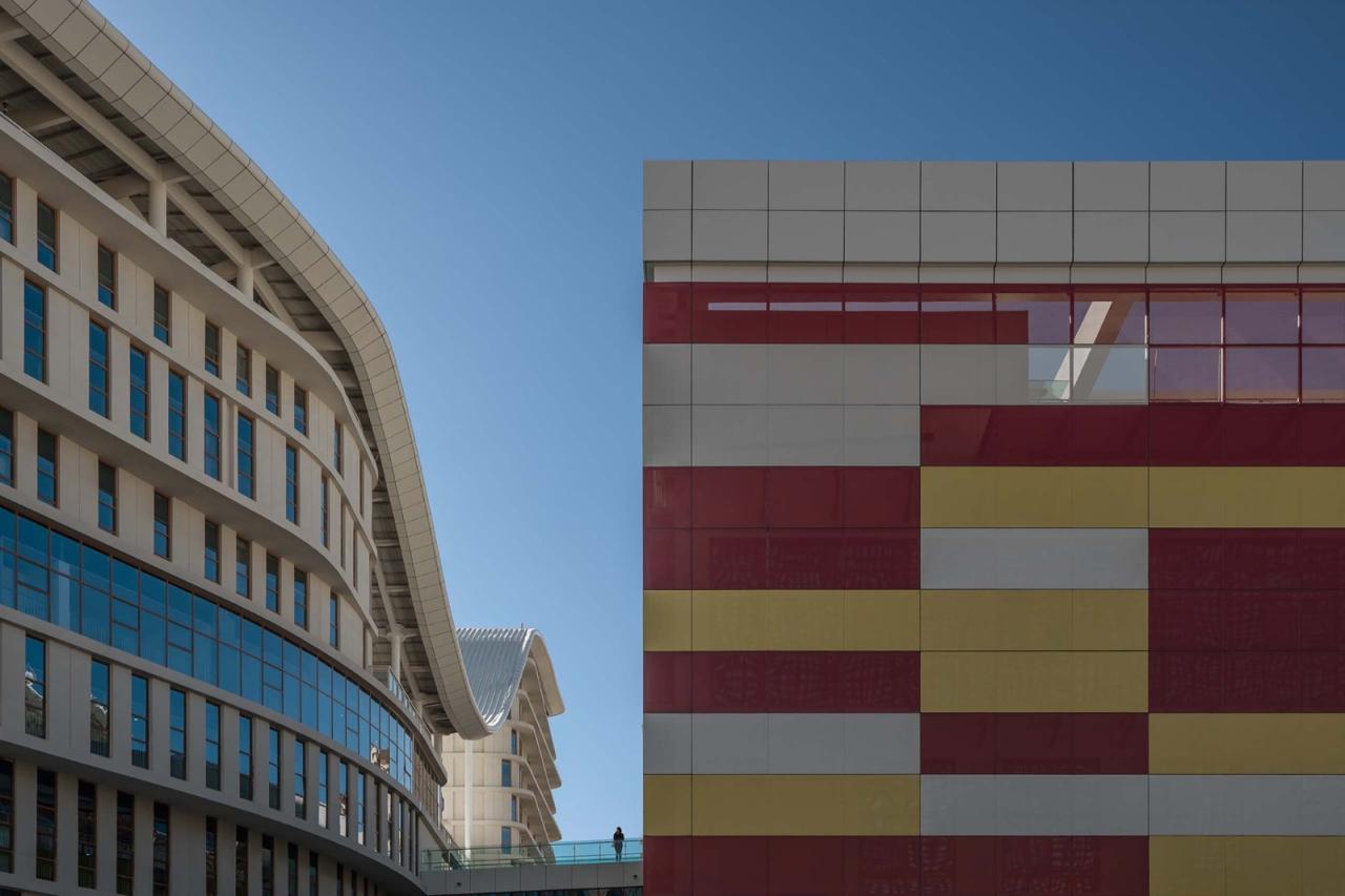 BIM建筑|西藏妇儿医院 / 八作建筑设计事务所