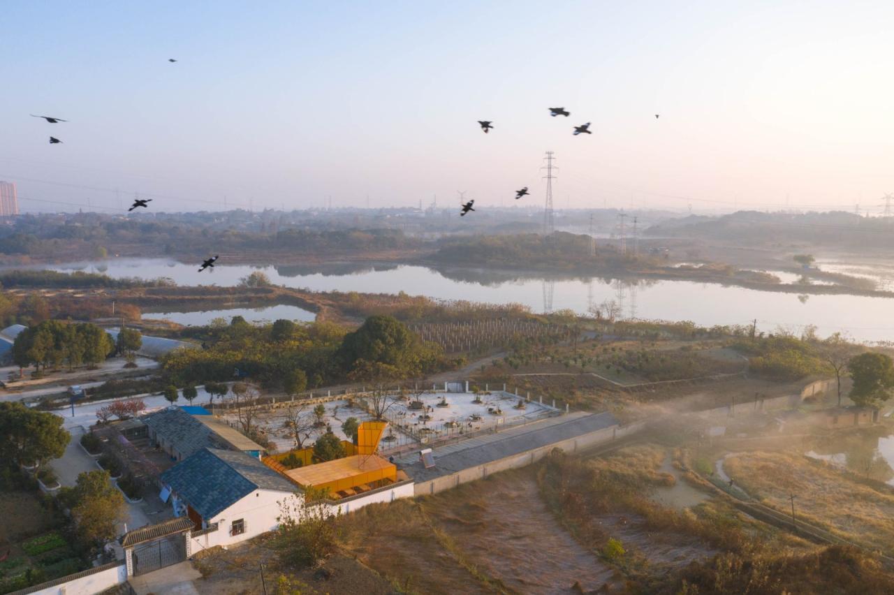 BIM建筑|流浪小动物保护基地 / UAO瑞拓设计