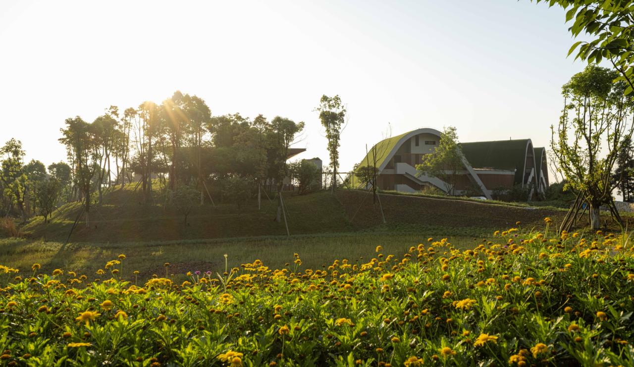 BIM建筑|重庆玉峰山慢屋•青麦庄园建筑设计 / IDO元象建筑