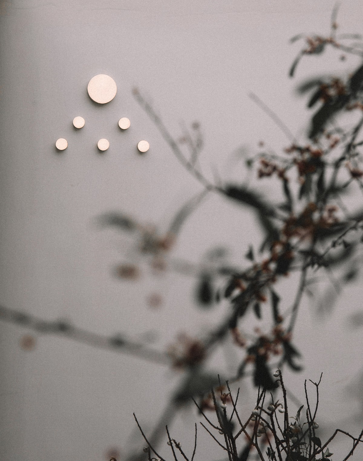 BIM建筑|大鱼云海妈妈农场 / 梦想改造家