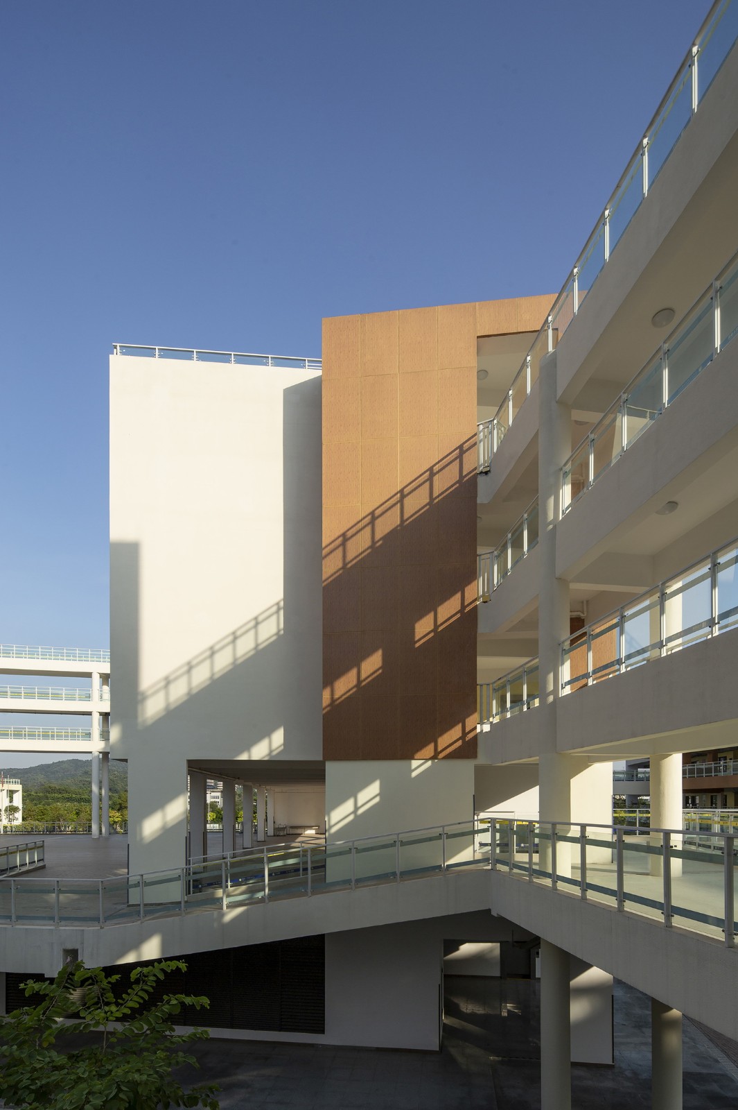 BIM建筑|深圳光明新区凤凰学校 / 深圳大学建筑设计研究院“钟中+钟波涛”工作室