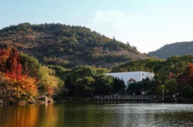 BIM建筑|白马涧龙池景区休闲餐吧 / 平介设计-BIM建筑网