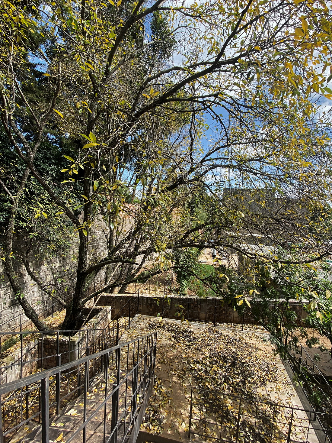 BIM建筑|乡建八式|基于云南大知闲闲民宿改造的乡建实践 / 阮晓舟设计工作室