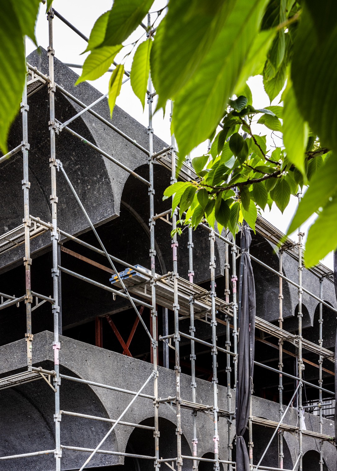 BIM建筑|鹤冈之家 / 武田清明建筑设计事务所