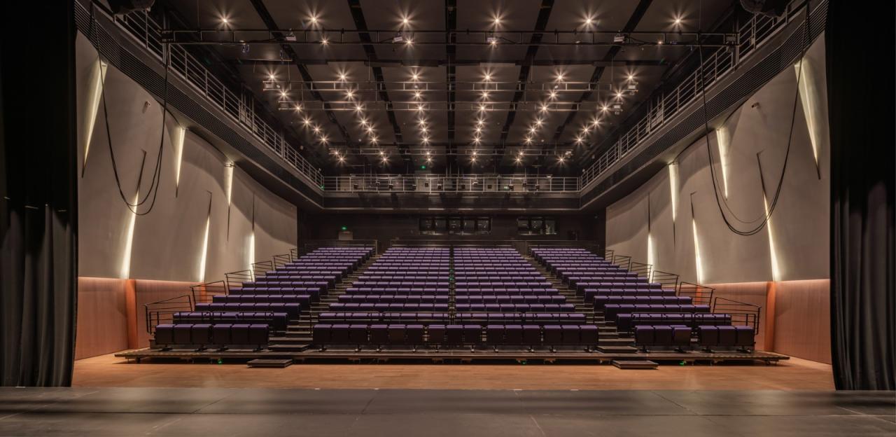 BIM建筑|深圳宝安文化区演艺中心 / 严迅奇建筑师事务所