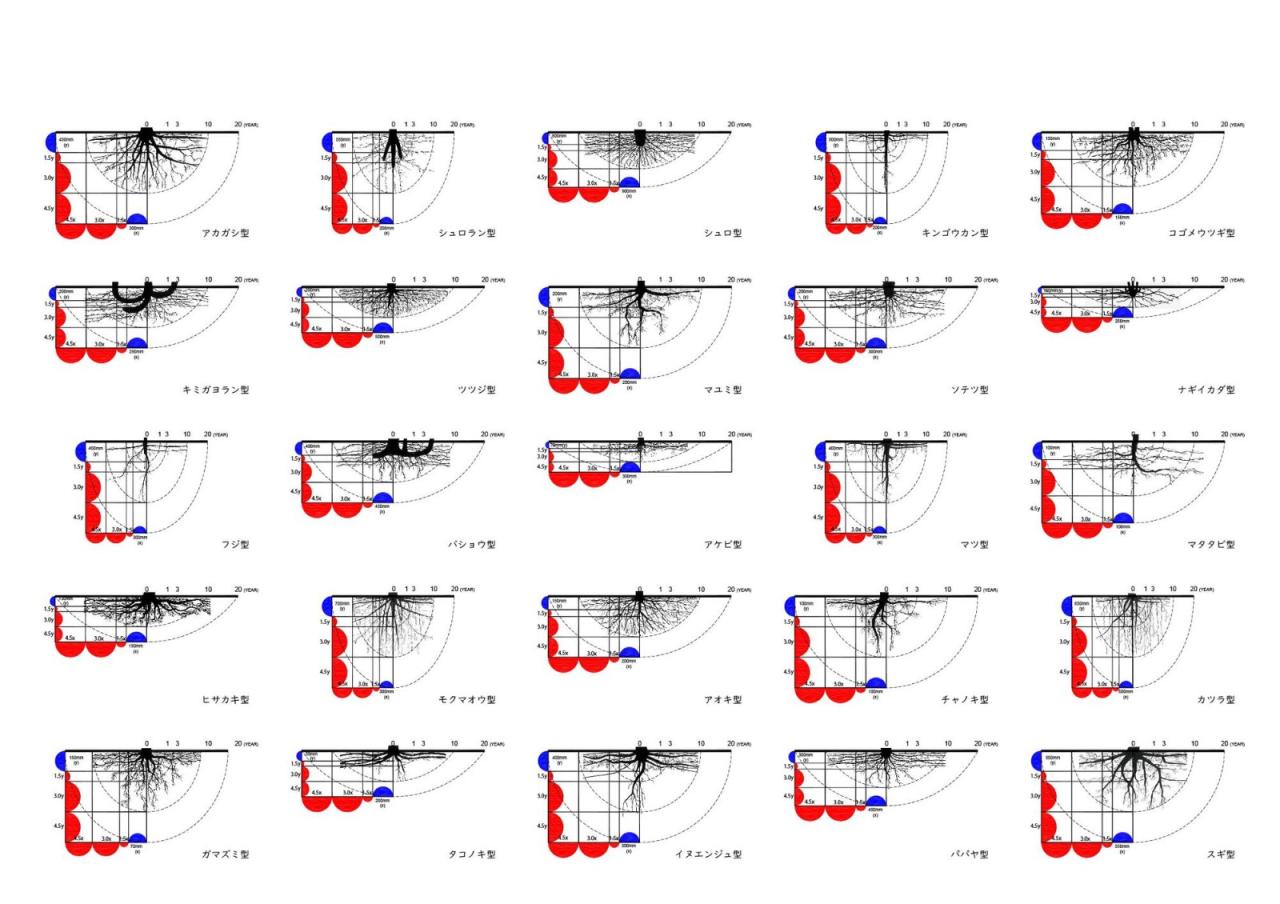 BIM建筑|鹤冈之家 / 武田清明建筑设计事务所