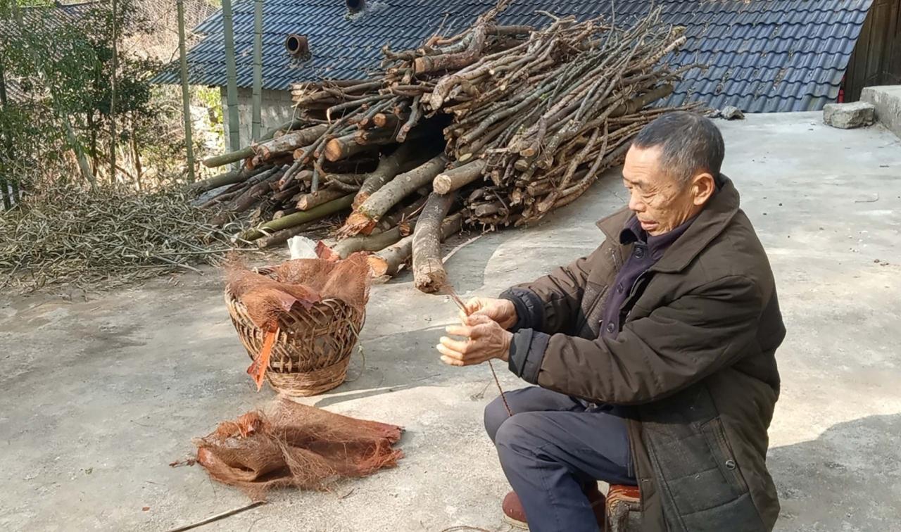 BIM建筑|花海竹亭，城市公园针灸式更新 / 竖梁社 + 华南理工大学建筑学院