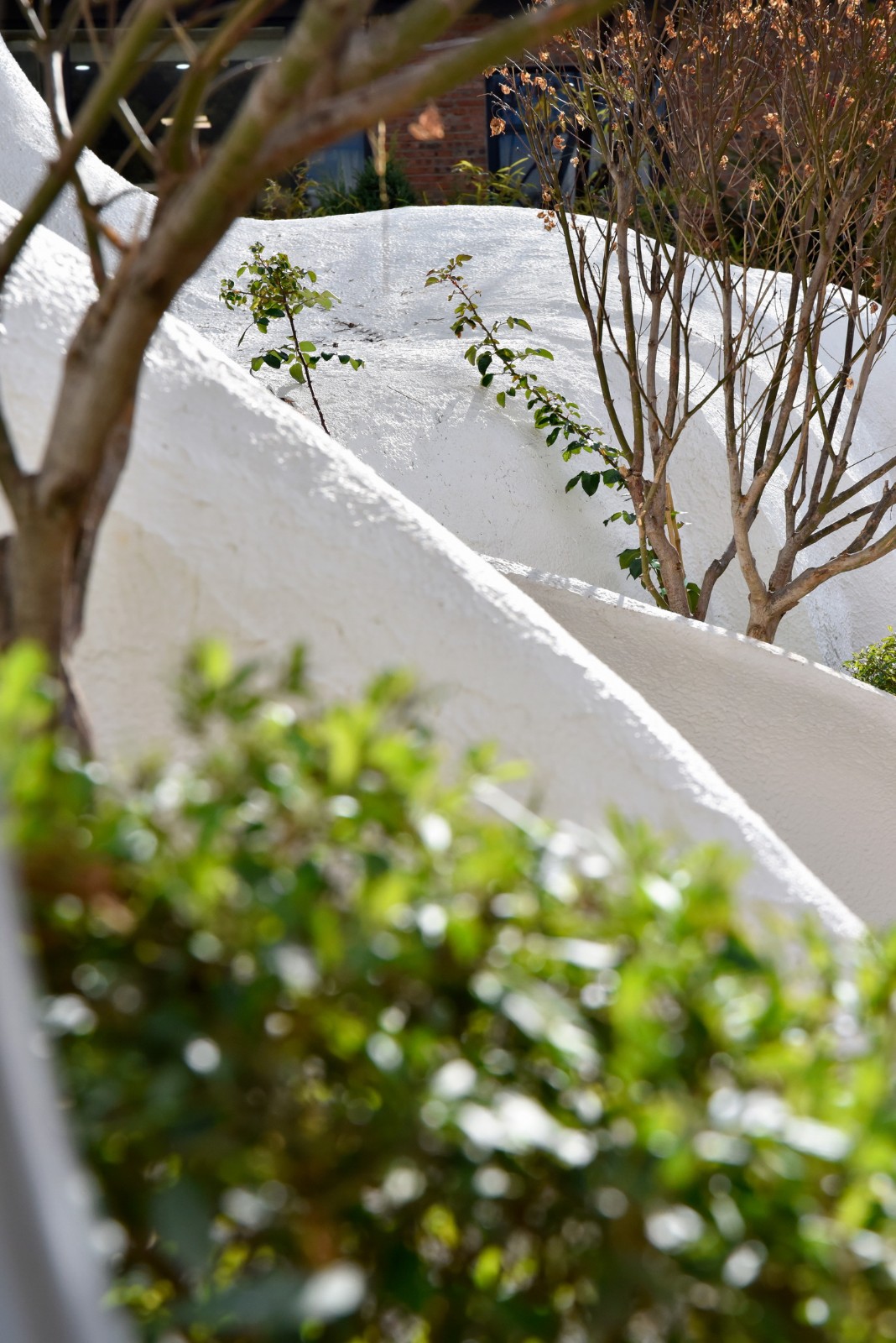 BIM建筑|梦回童年：长空茶语 / 长空创作