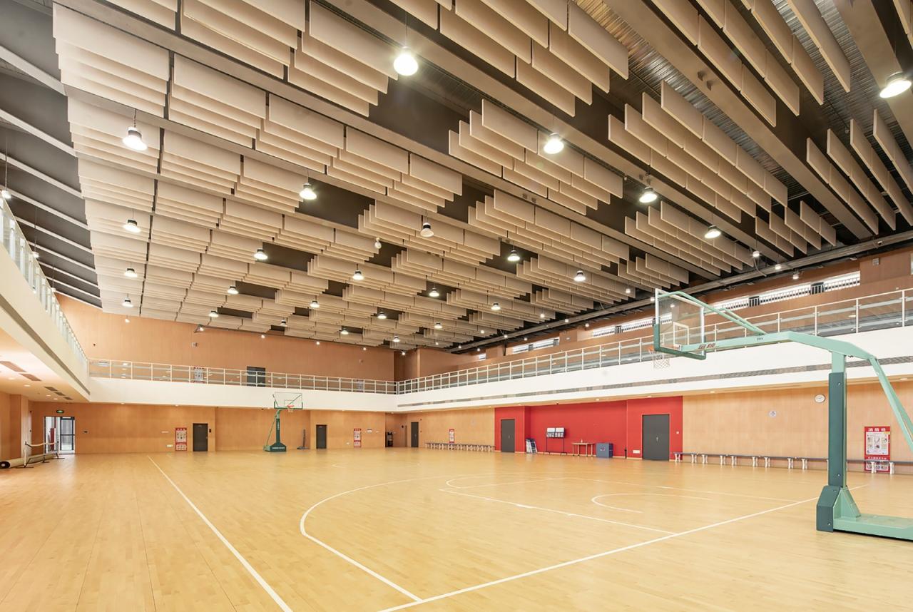 BIM建筑|深圳光明新区凤凰学校 / 深圳大学建筑设计研究院“钟中+钟波涛”工作室