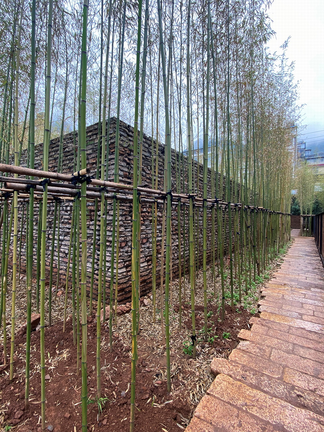 BIM建筑|乡建八式|基于云南大知闲闲民宿改造的乡建实践 / 阮晓舟设计工作室