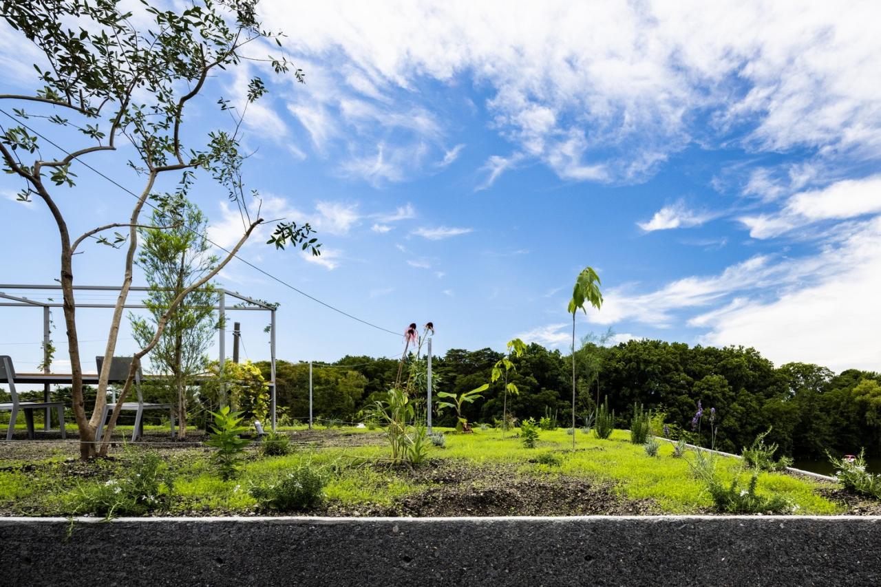 BIM建筑|鹤冈之家 / 武田清明建筑设计事务所