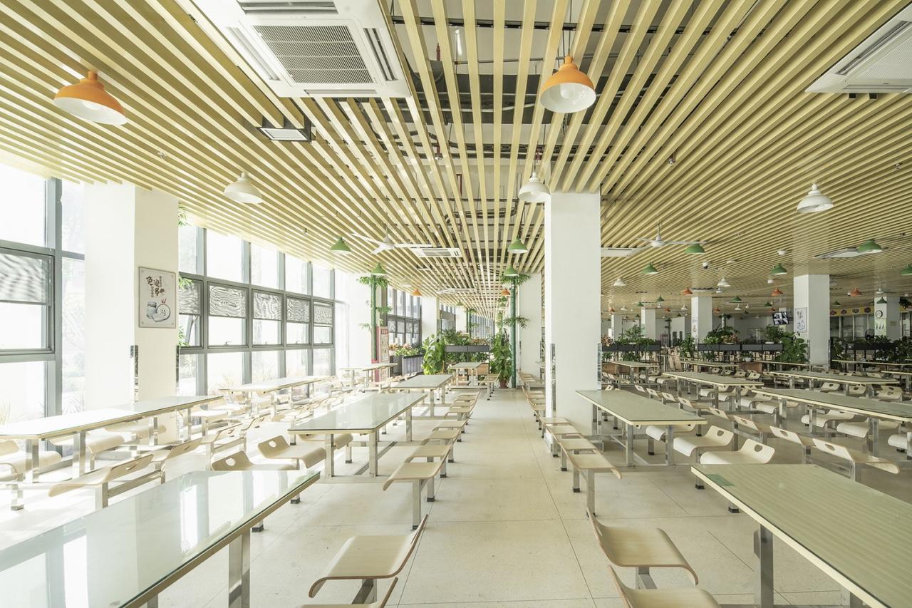 BIM建筑|深圳光明新区凤凰学校 / 深圳大学建筑设计研究院“钟中+钟波涛”工作室