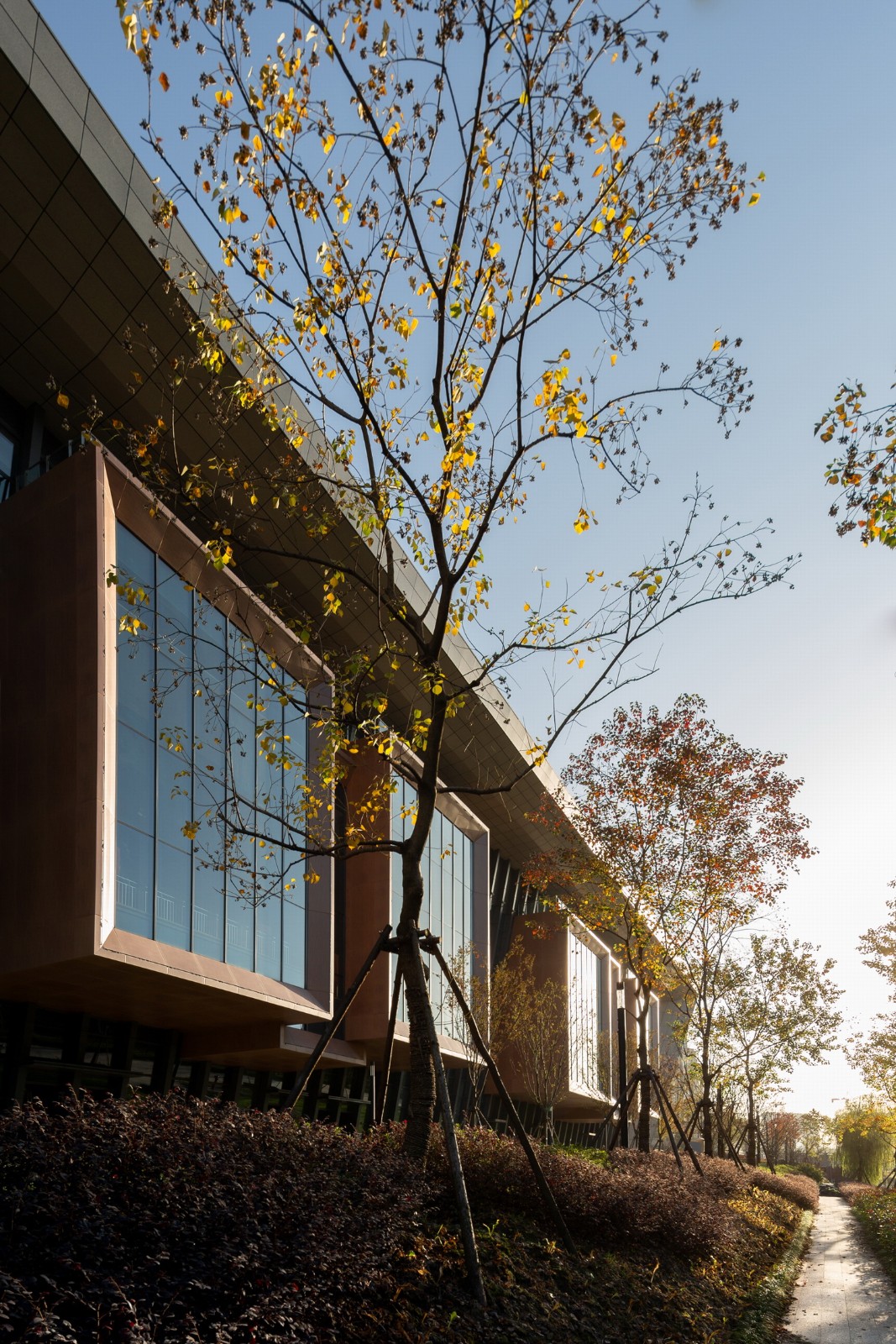 BIM建筑|踏着云朵去奔跑：杭州李宁体育园一期项目 / 柏涛建筑