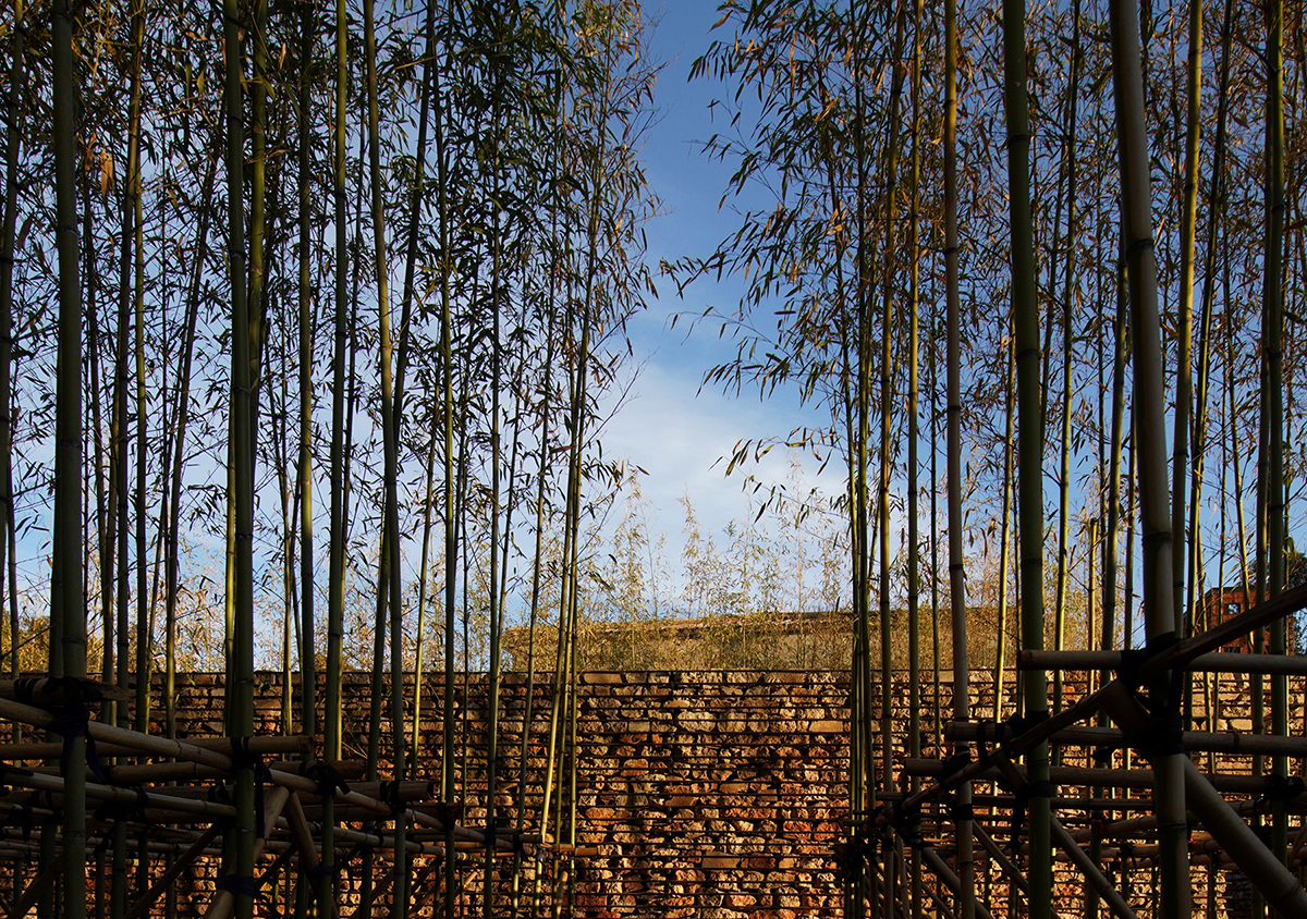 BIM建筑|乡建八式|基于云南大知闲闲民宿改造的乡建实践 / 阮晓舟设计工作室