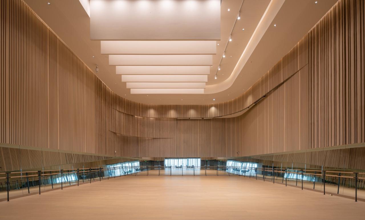 BIM建筑|深圳宝安文化区演艺中心 / 严迅奇建筑师事务所