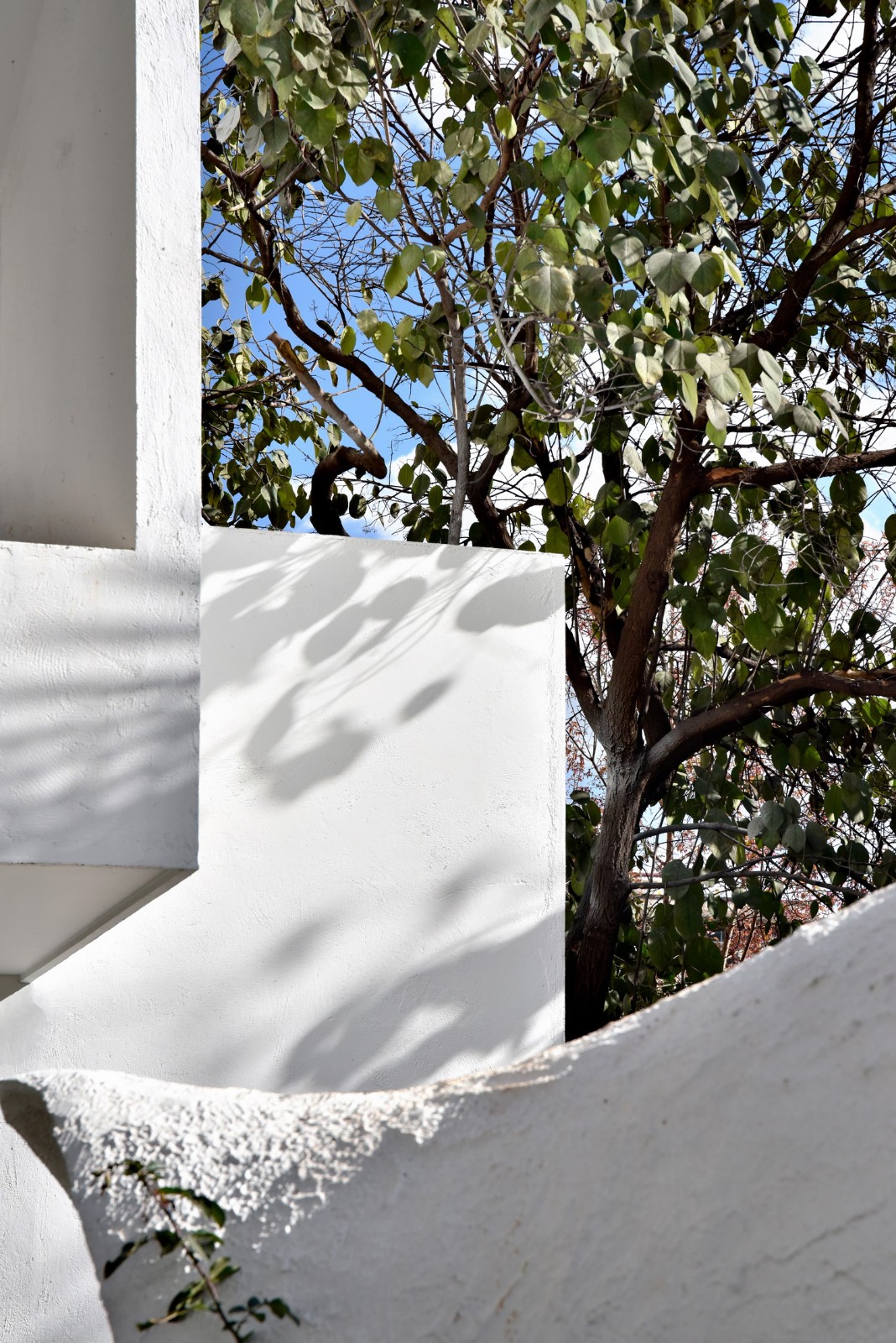 BIM建筑|梦回童年：长空茶语 / 长空创作